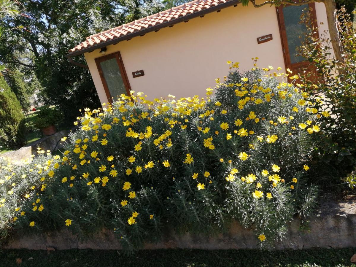 Il Podere Di Sole Roccastrada Buitenkant foto