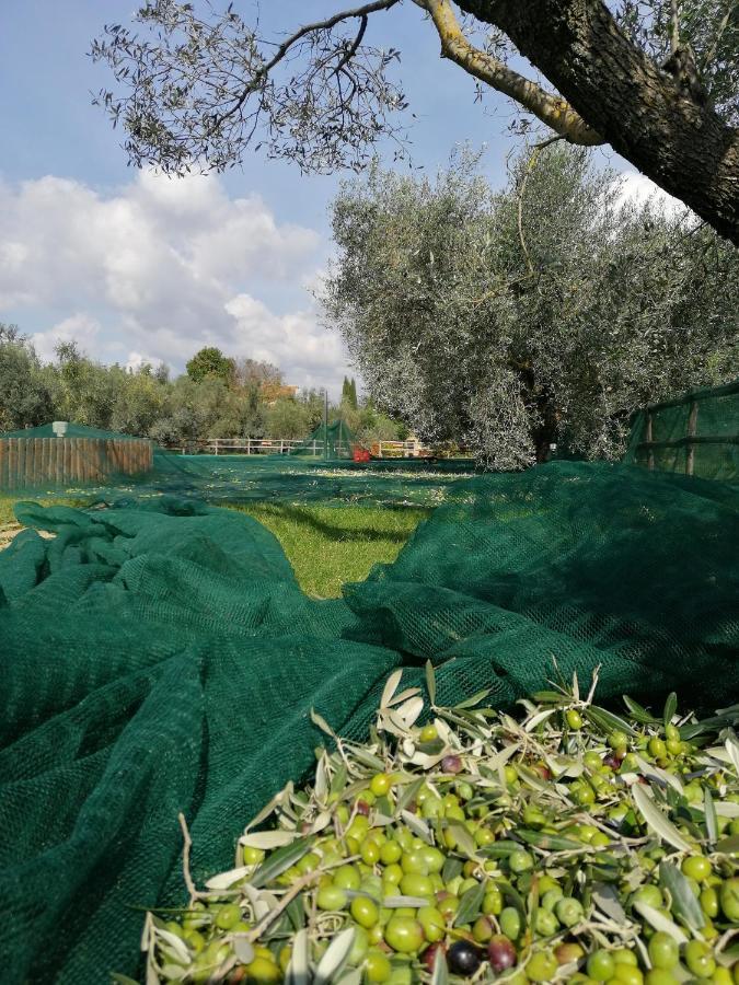 Il Podere Di Sole Roccastrada Buitenkant foto