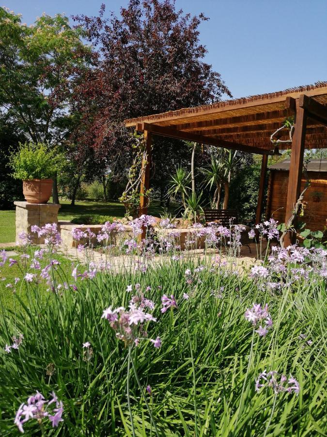 Il Podere Di Sole Roccastrada Buitenkant foto