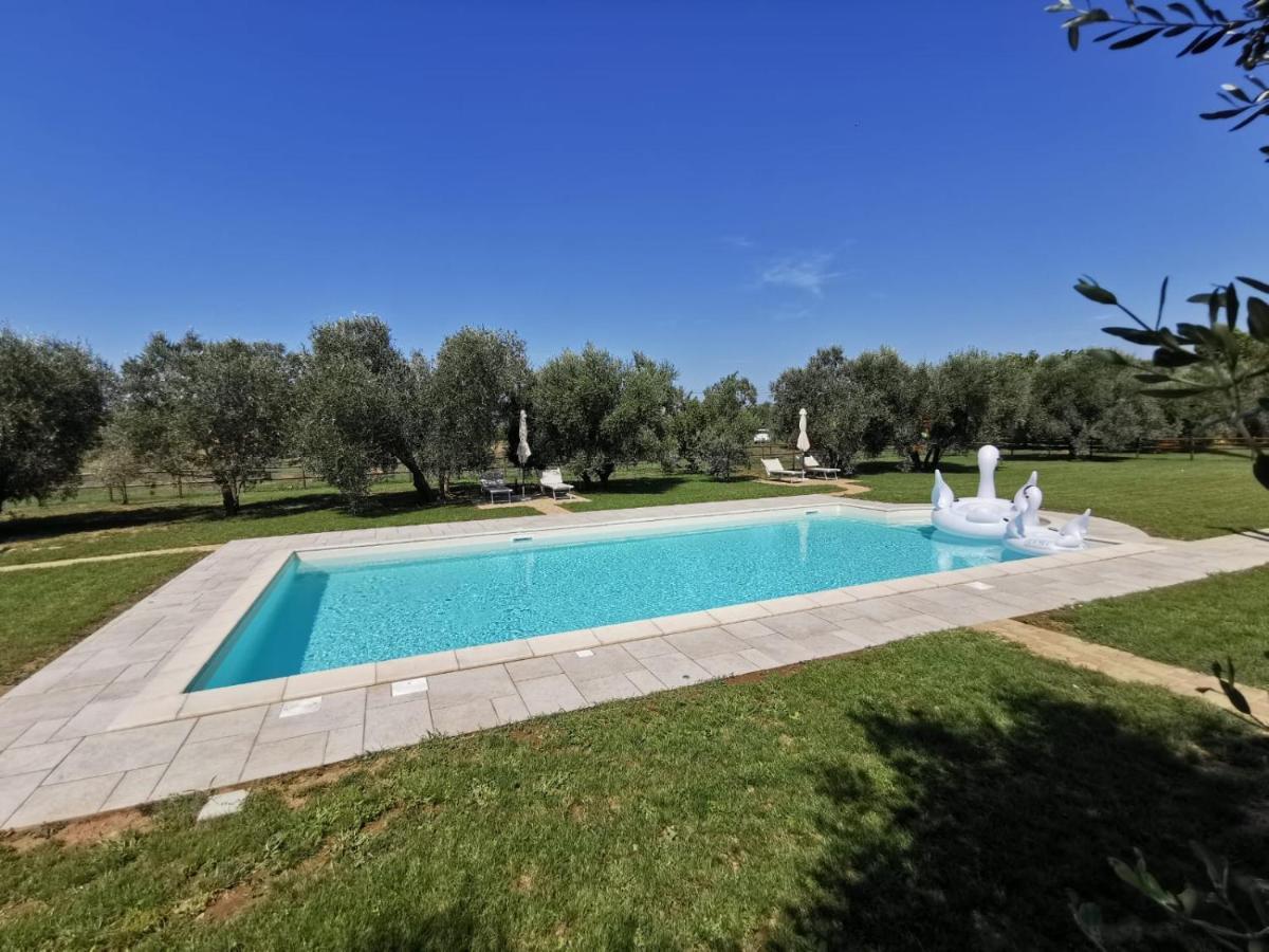 Il Podere Di Sole Roccastrada Buitenkant foto